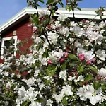 Wooden House Close To Nature Near Rosnaes * Kalundborg